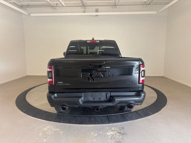 Used 2024 Black Ram Rebel image 5