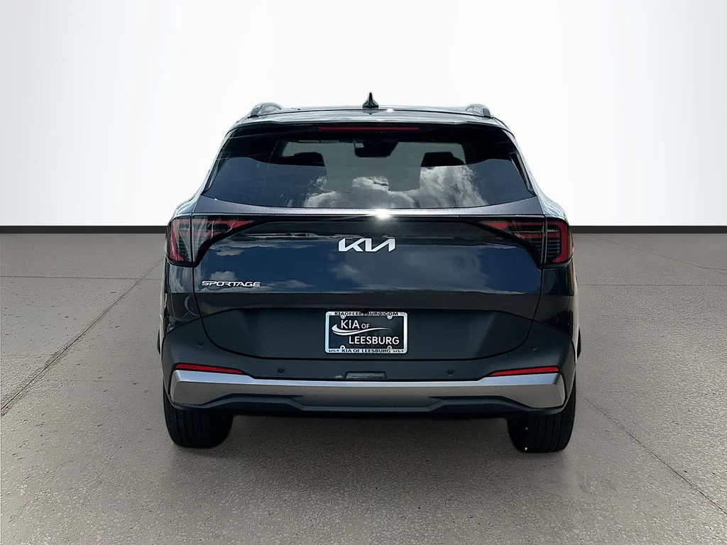 New 2026 Panthera Metal Kia EX image 6
