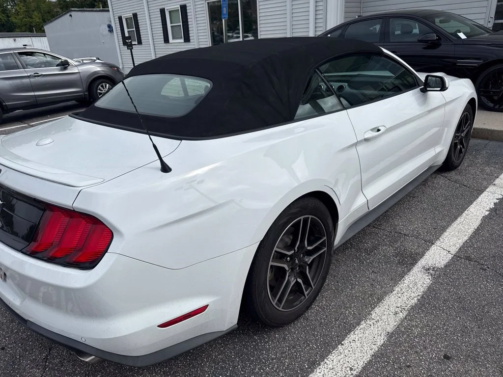 Used 2020 White Ford EcoBoost Premium image 3