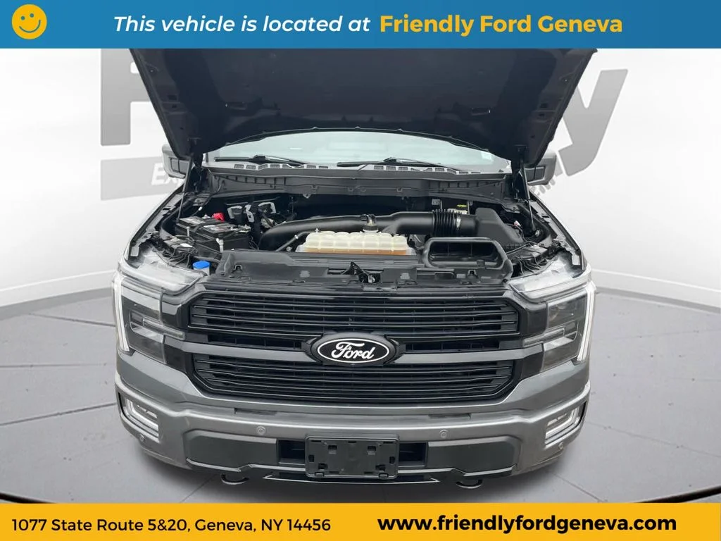 Used 2024 Gray Ford Platinum image 36