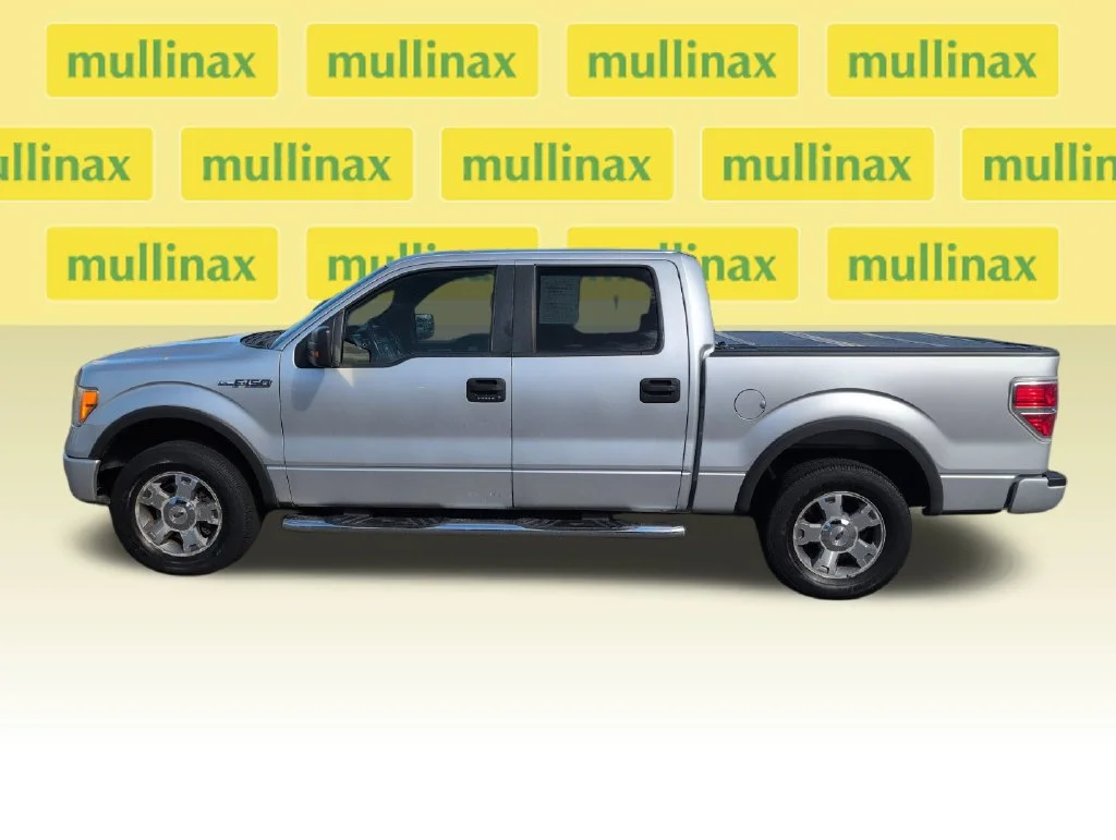 Used 2010 Silver Ford FX4 image 11