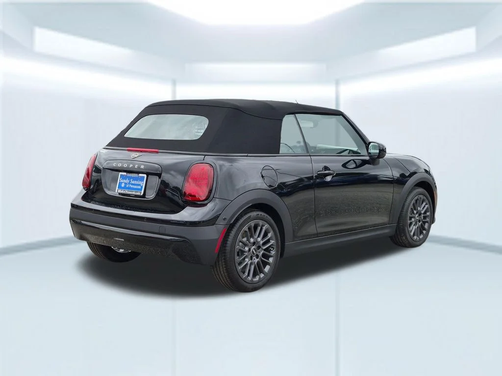 New 2026 Black MINI  image 5
