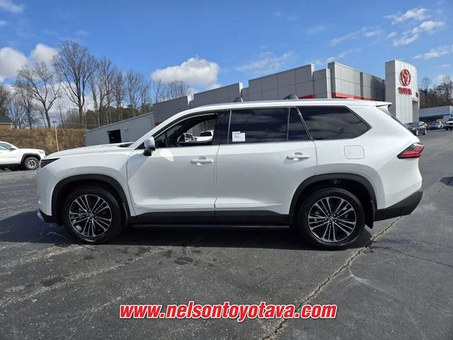 New 2026 Beige Toyota MAX Platinum image 4