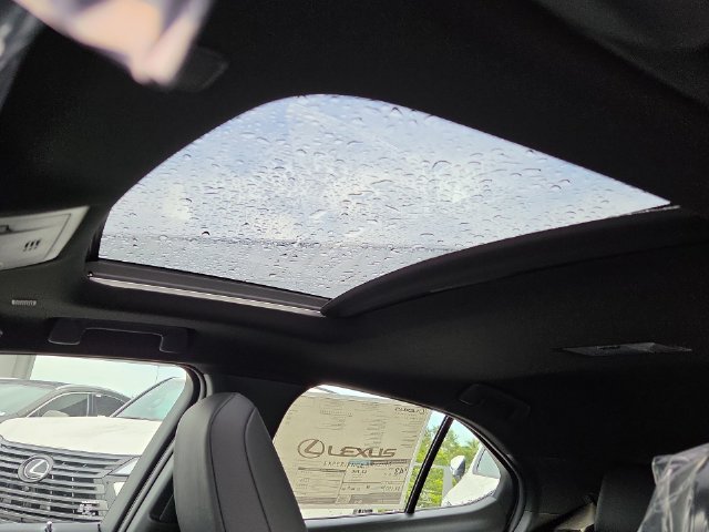 New 2026 Cloudburst Gray with Obsidian roof Lexus F SPORT DESIGN image 22