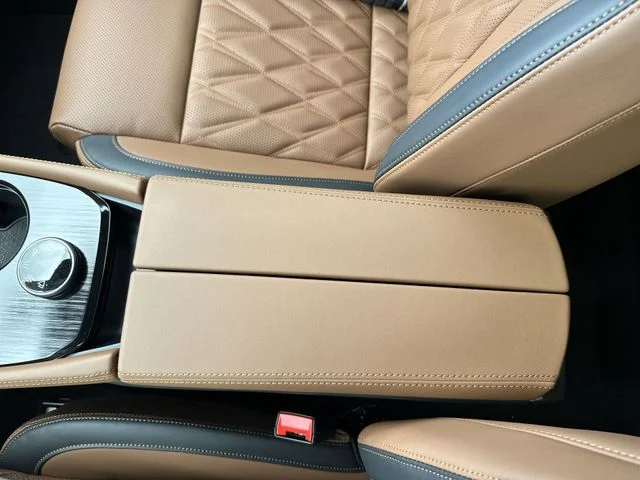 New 2026 Black Nissan Platinum image 25