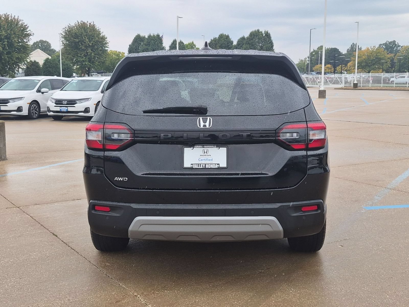 2025 Honda Pilot EX-L - Photo 7