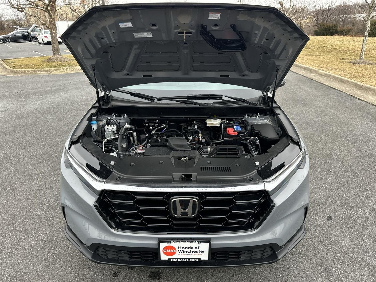 Used 2024 Urban Gray Pearl Honda EX-L image 26