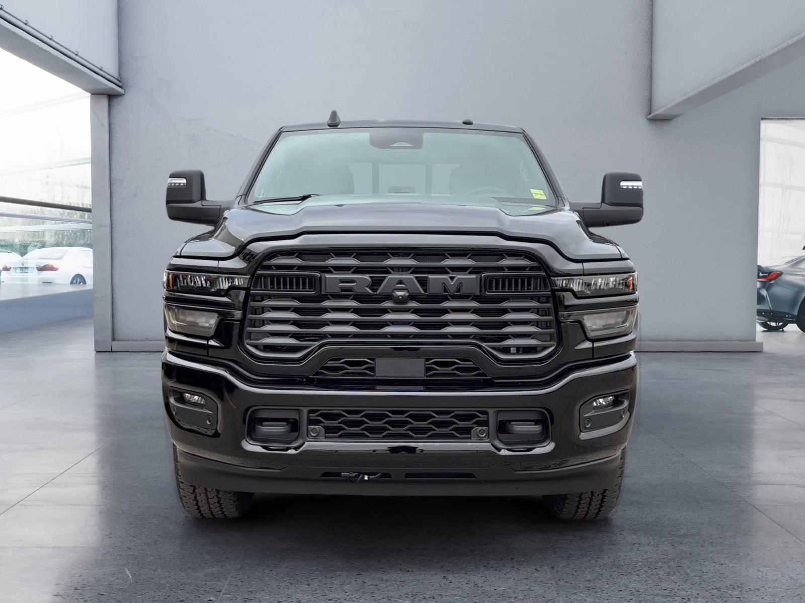 New 2027 Diamond Black Crystal Pearl Ram Big Horn image 8