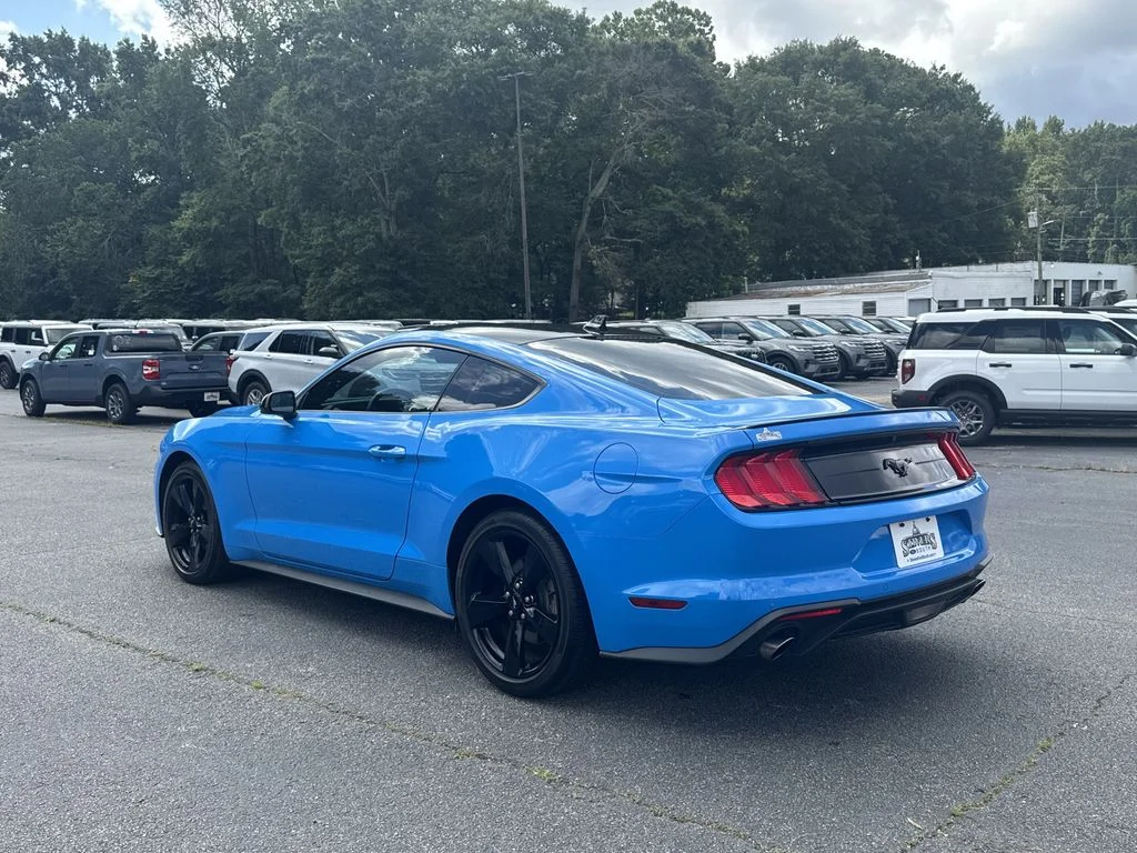 Used 2023 Blue Ford EcoBoost image 5