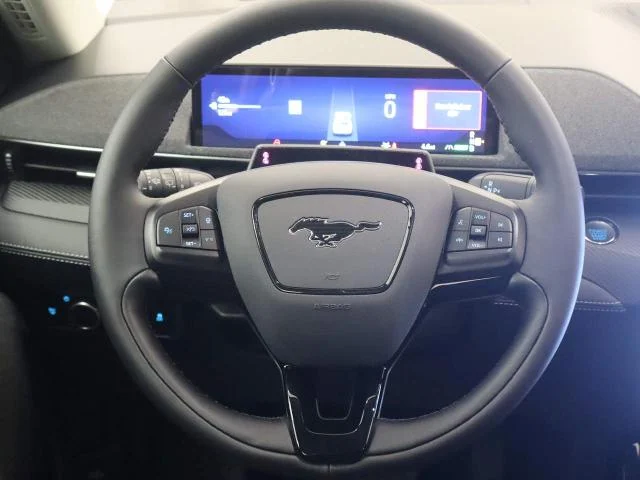 New 2026 Shadow Black Ford Premium image 32