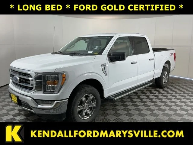 2023 Ford F-150 XLT 4x4 SuperCrew 157 in's photo