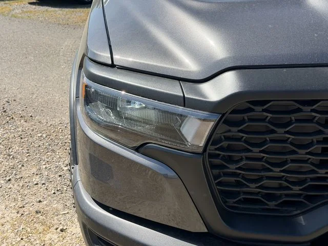New 2026 Gray Ram Rebel image 5