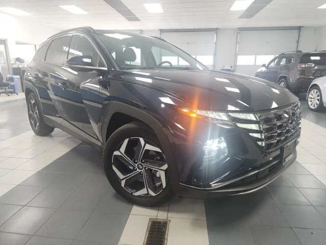 Used 2023 Deep Sea Hyundai Limited image 1