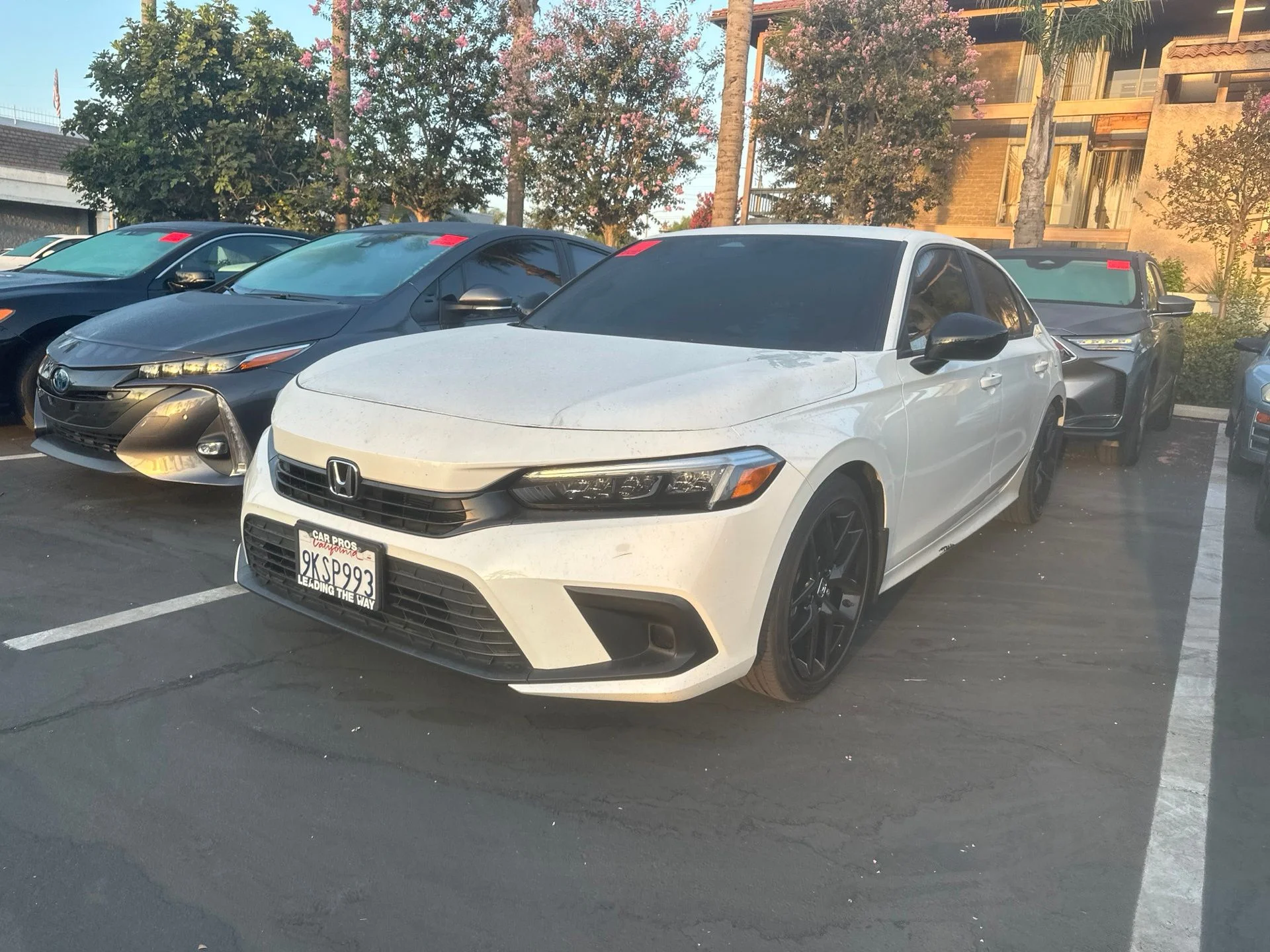 Used 2024  Honda Sport image 2