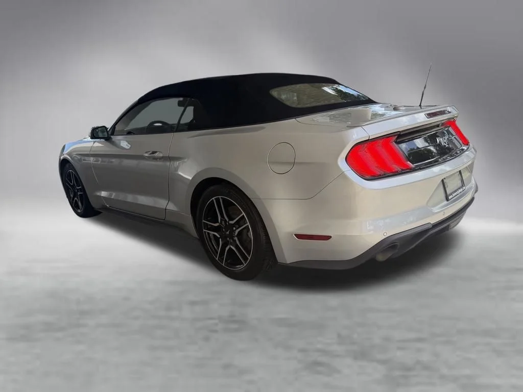 Used 2018 Silver Ford EcoBoost Premium image 4
