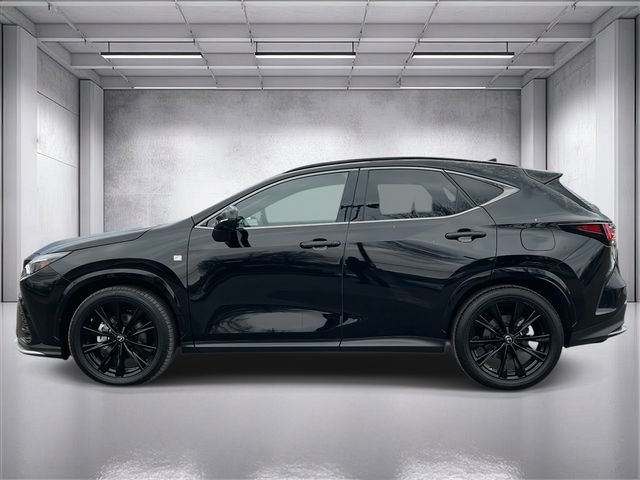 2023 Lexus NX 350 - Photo 6