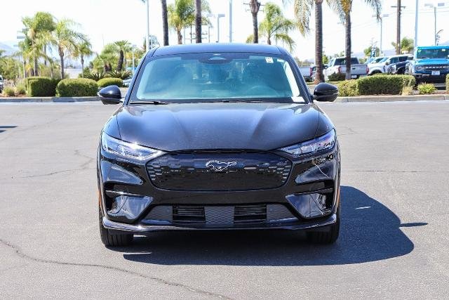 New 2026 Shadow Black Ford Premium image 30