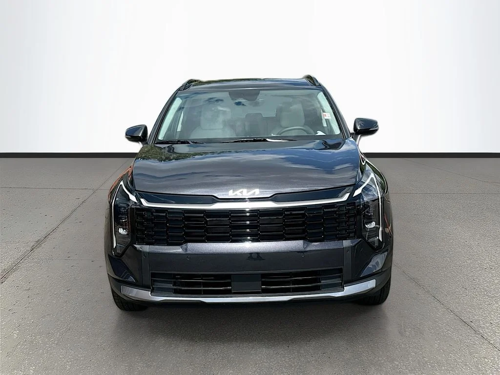 New 2026 Panthera Metal Kia EX image 2