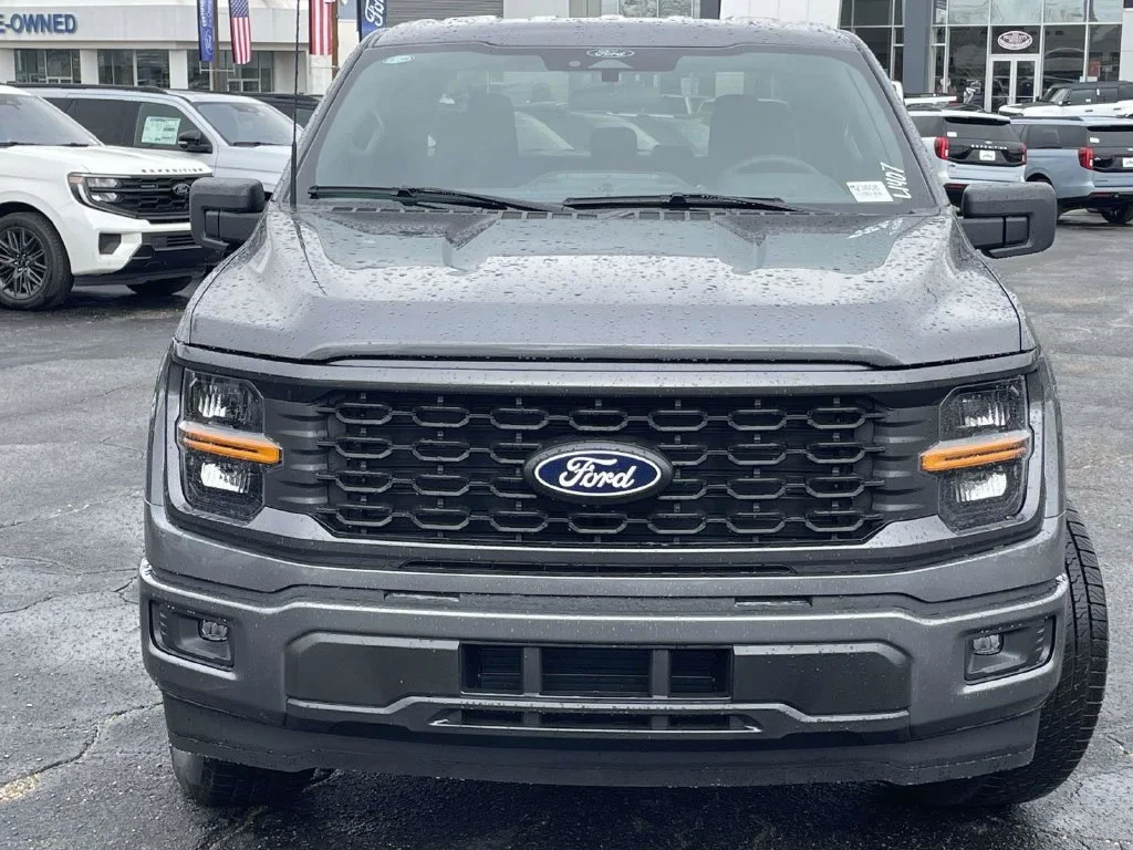 New 2026 Gray Ford STX image 8