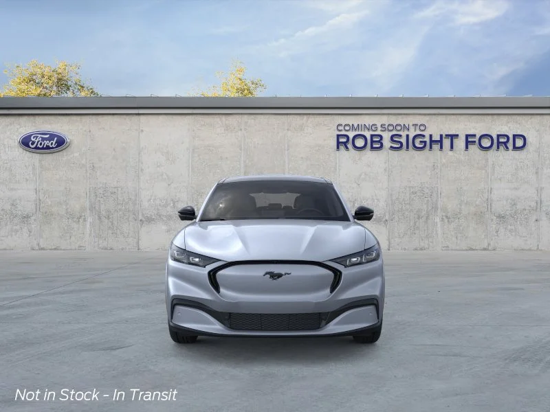 New 2026 Glacier Gray Metallic Tri-coat Ford Premium image 6