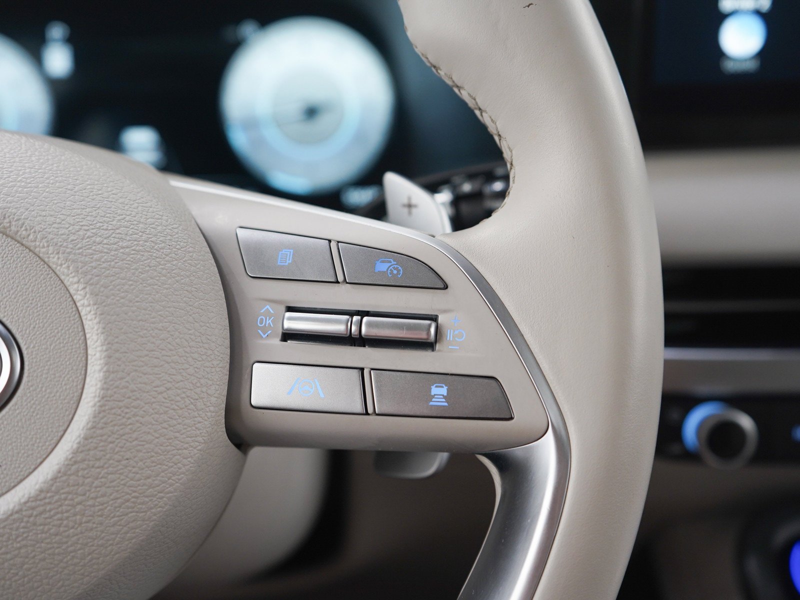 2024 Hyundai Palisade Limited - Photo 30