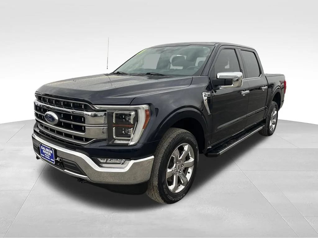 Used 2021 Blue Ford XL image 1