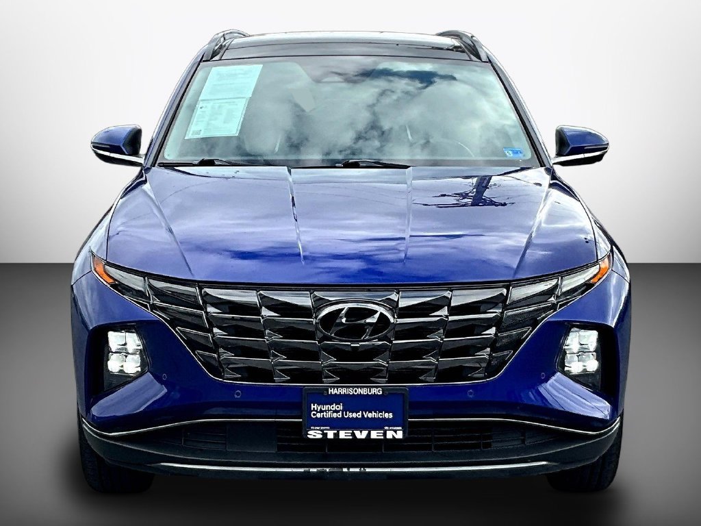Certified Used 2024 Blue Hyundai Limited image 2