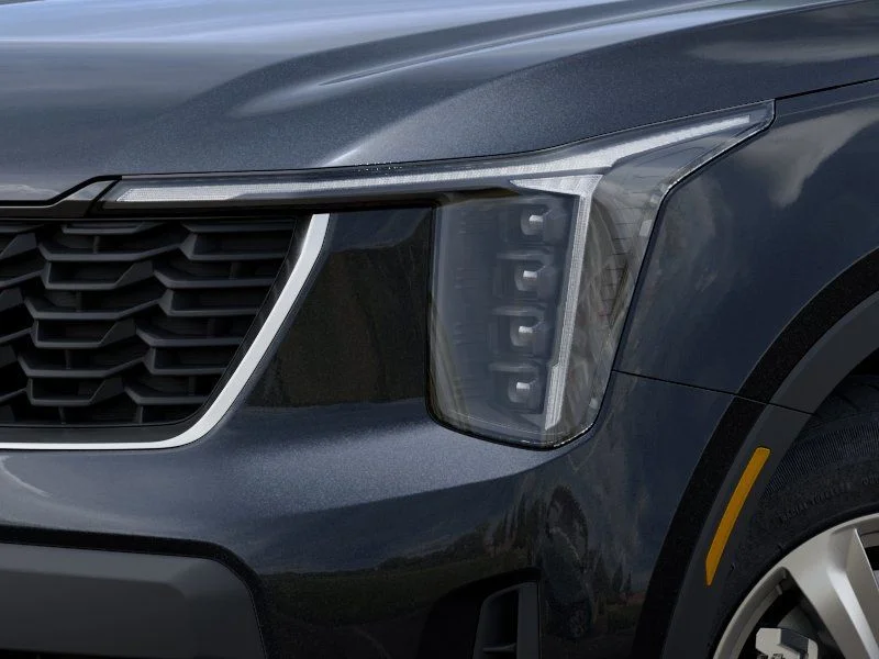 New 2026 Panthera Metal Kia LX image 10