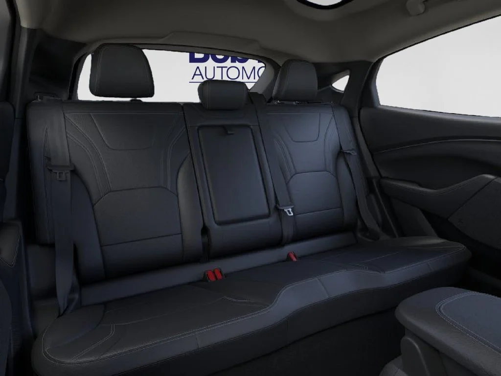 New 2026 Shadow Black Ford Premium image 11