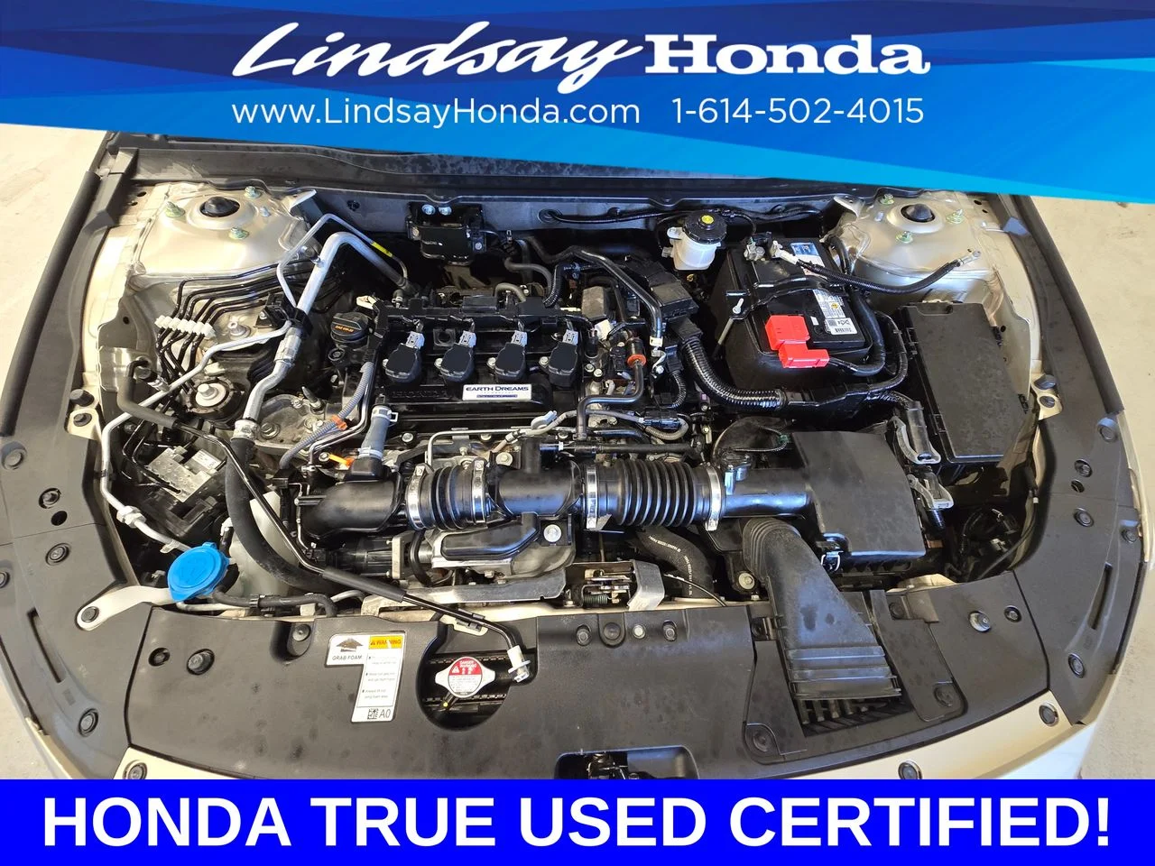 Certified Used 2019 Champagne Frost Pearl Honda EX image 25