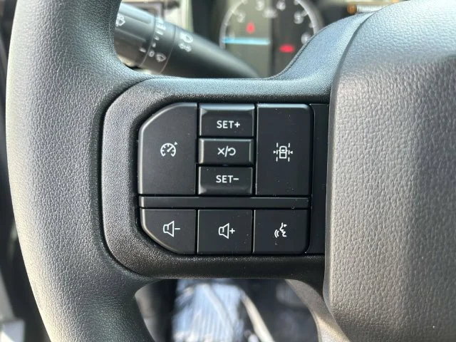 New 2026 Gray Ford STX image 19