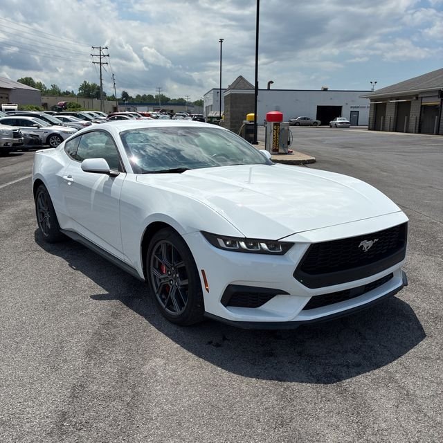 Used 2024 White Ford EcoBoost image 4