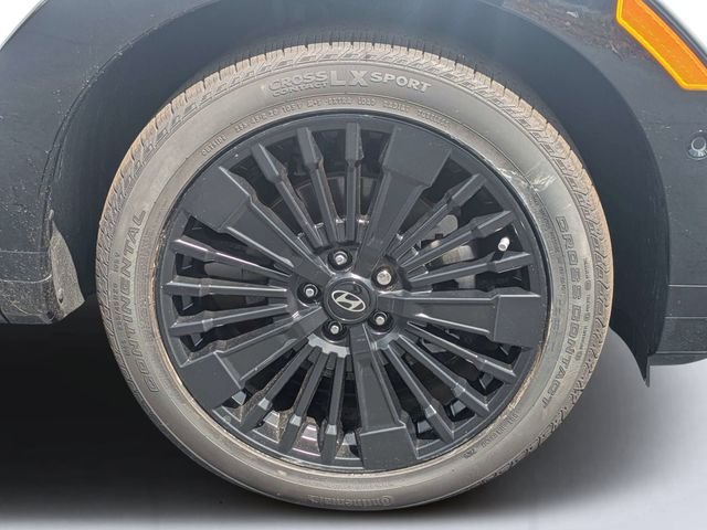 Used 2024 White Hyundai Calligraphy image 11