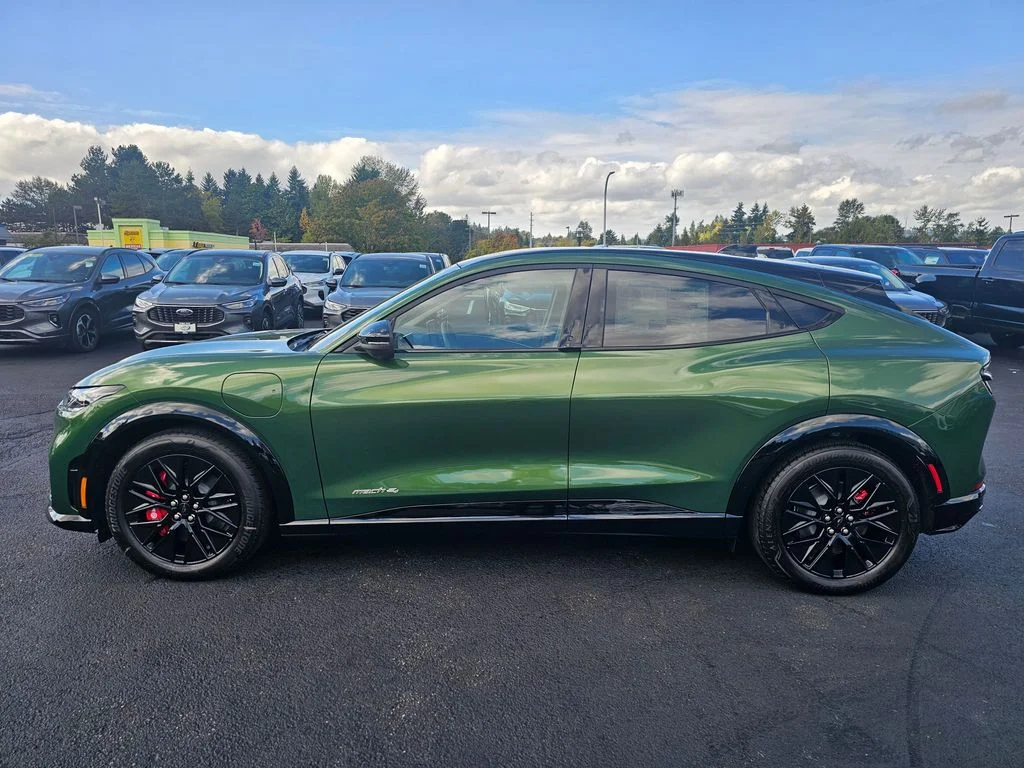 New 2025 Eruption Green Metallic Ford Premium image 4