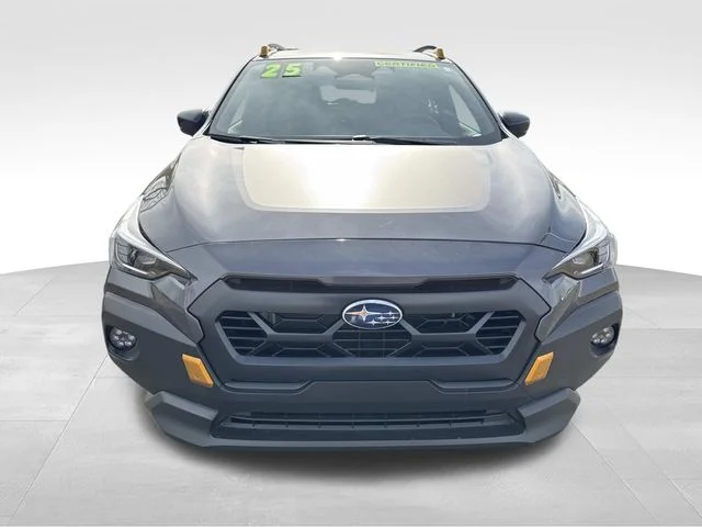 Used 2025 Gray Subaru Wilderness image 10