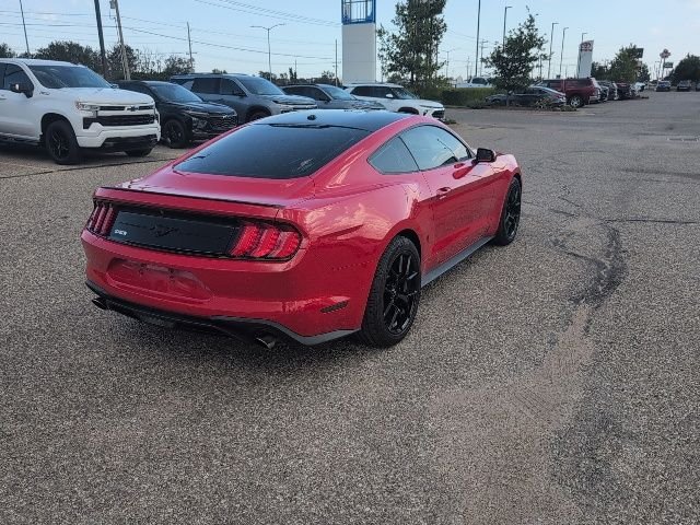 Used 2019 Red Ford EcoBoost image 16