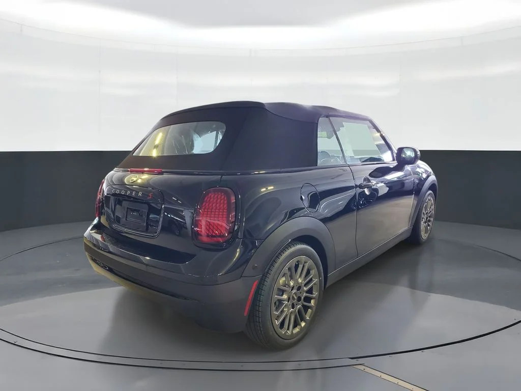 New 2026 Black MINI  image 3