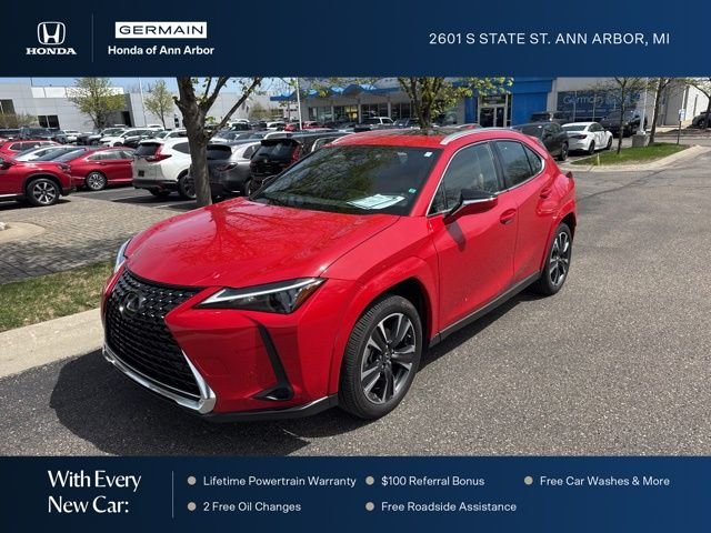 2024 Lexus UX 300h 250h Premium AWD's photo