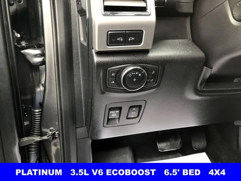 Certified Used 2020 Magnetic Metallic Ford Platinum image 8