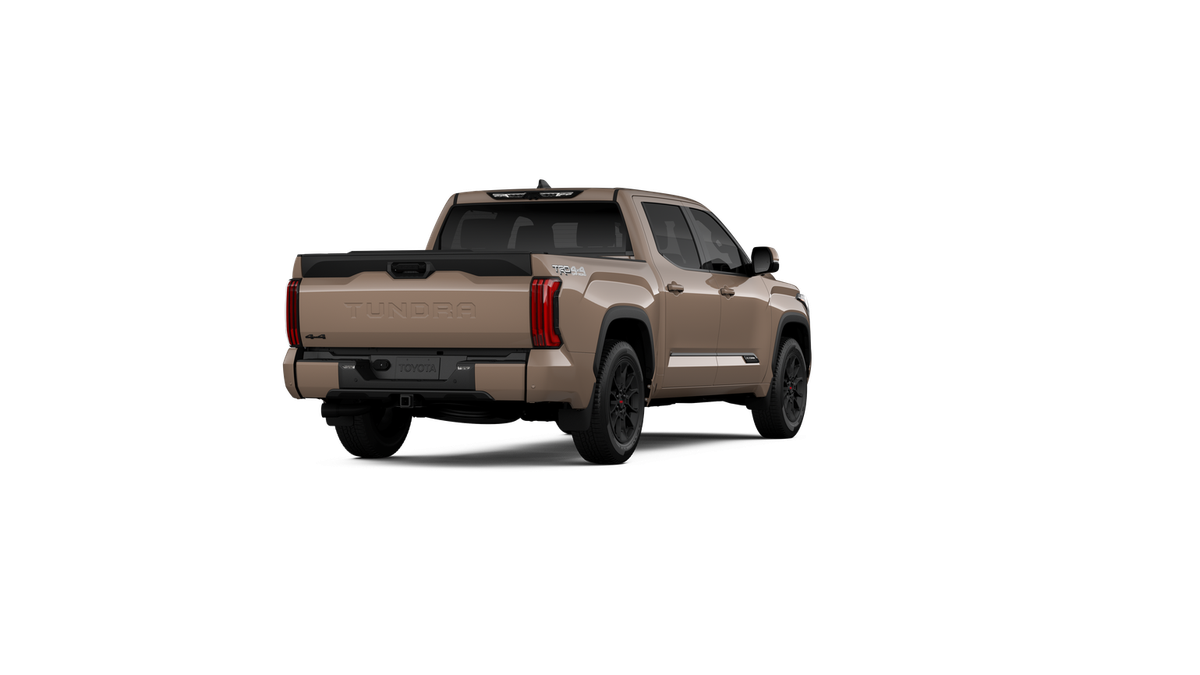 New 2026 Mudbath Toyota Platinum image 9