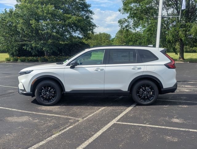 New 2026 Platinum White Pearl Honda Sport image 9