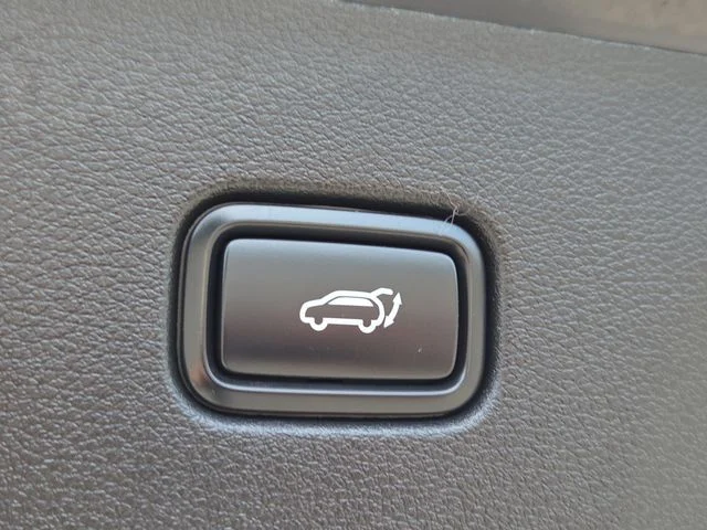 Used 2024 Black Kia X-Line image 16