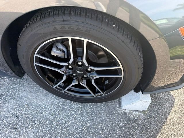 Used 2020 Gray Ford EcoBoost Premium image 4