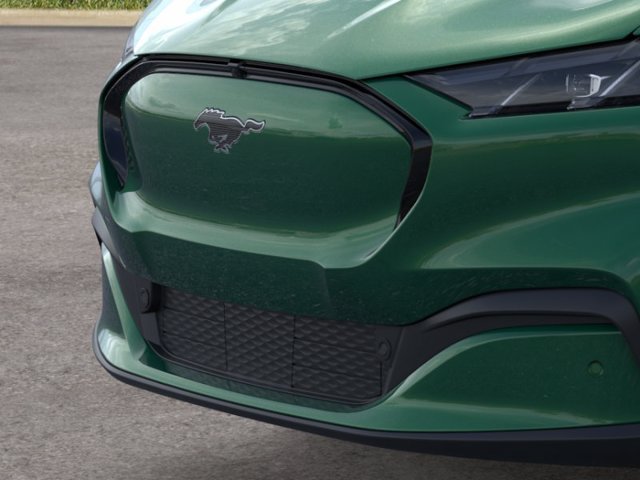 New 2026 Eruption Green Metallic Ford Premium image 39