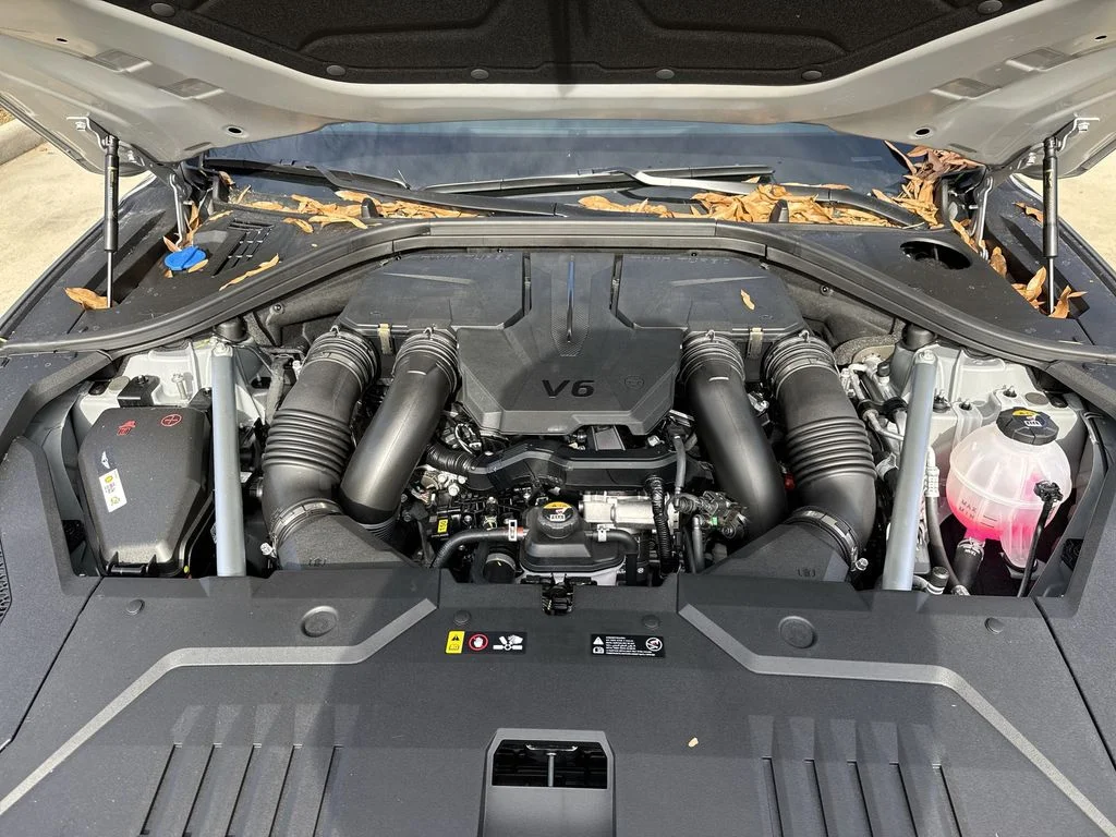 View 18