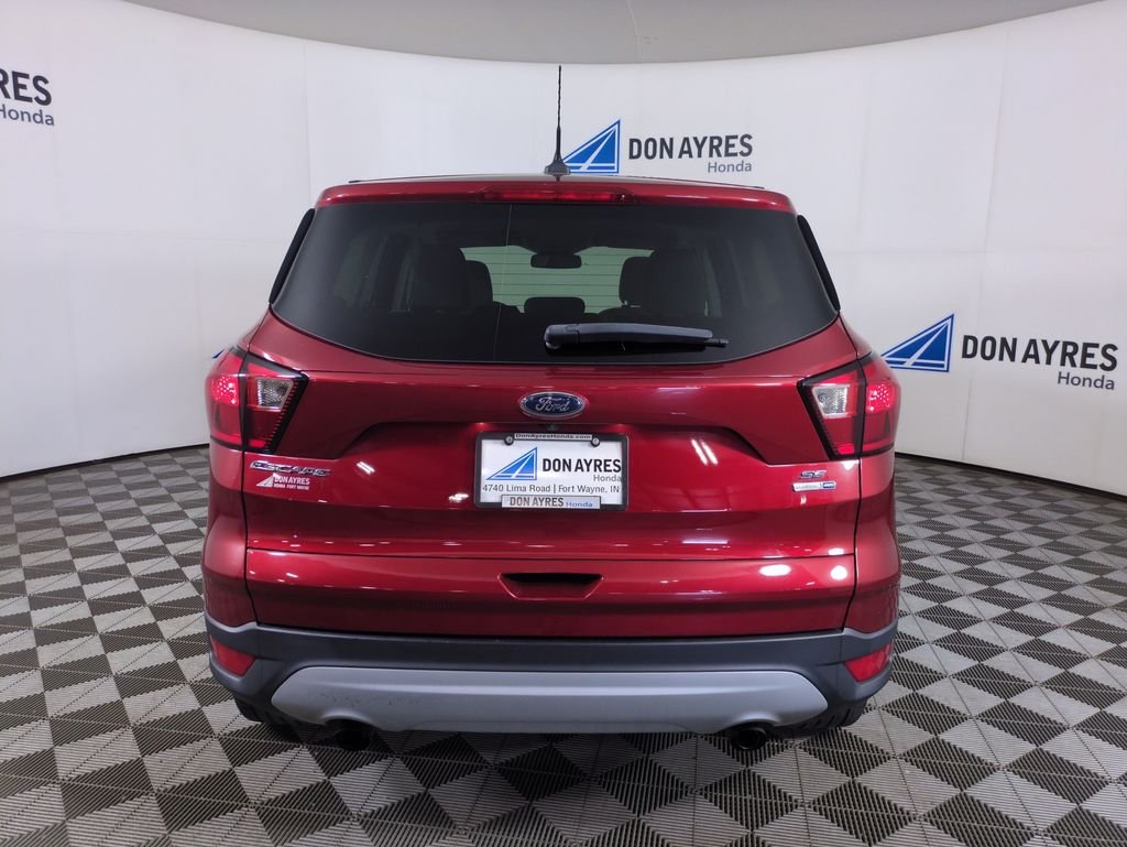 Used 2019 Ruby Red Metallic Ford SE image 4