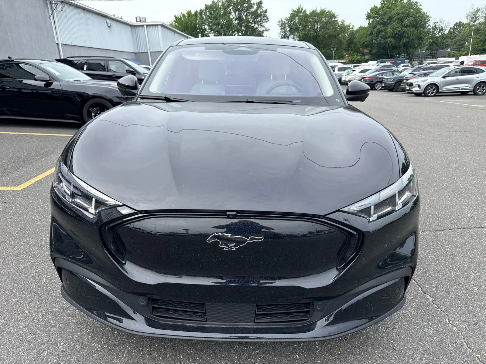 Used 2025 Ford Mustang Mach-E Premium RWD with VIN 3FMTK3R45SMA06306 for sale in Lawrence Township, NJ