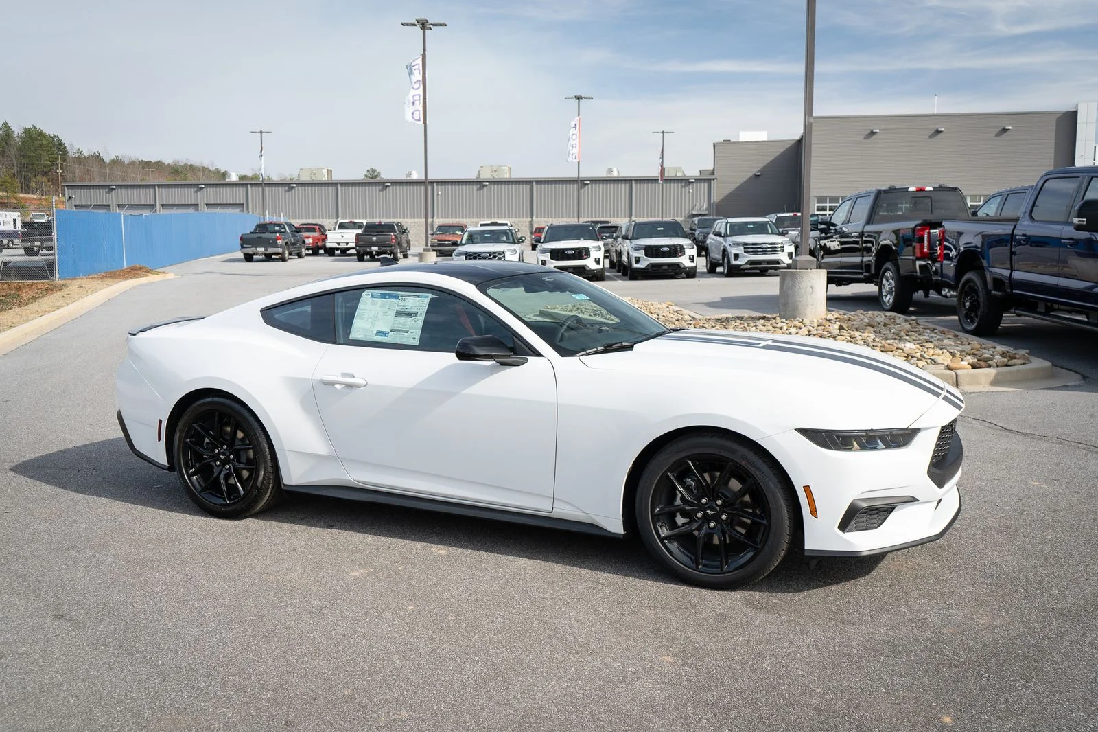 New 2026 Oxford White Ford EcoBoost® Fastback image 12