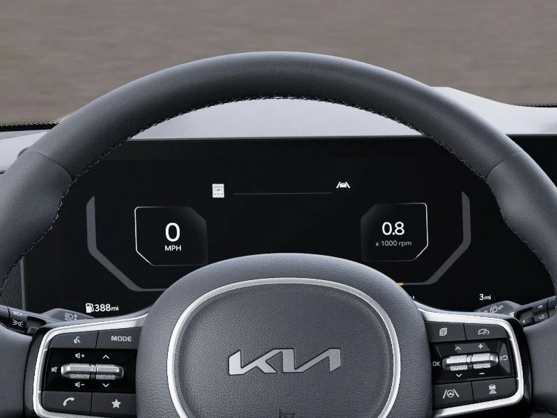 New 2025 Panthera Metal Kia SX Prestige image 21
