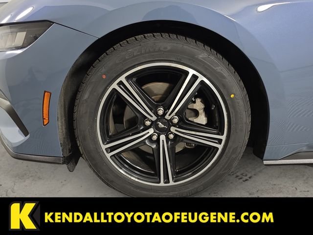 Used 2024 Blue Ford EcoBoost image 9